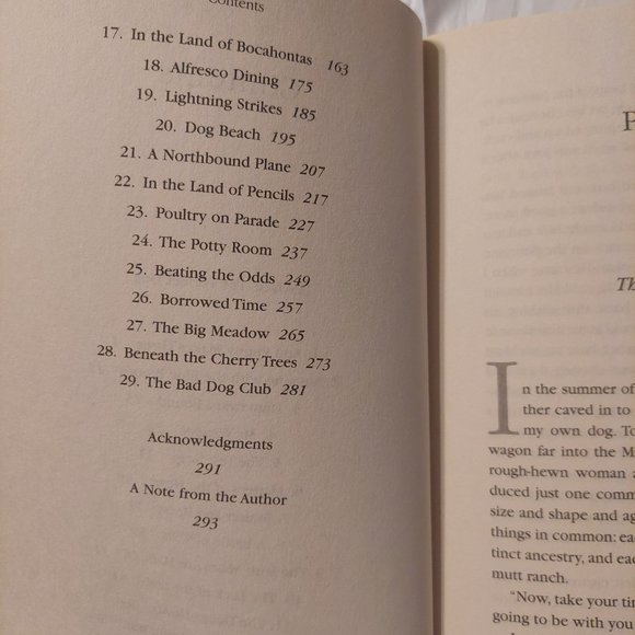 Marley and Me - Picture 6 of 6